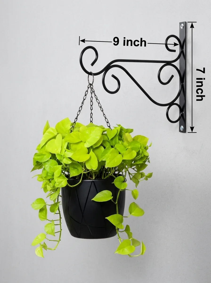 Aura Vintage Scroll Wall Hanging Hooks
